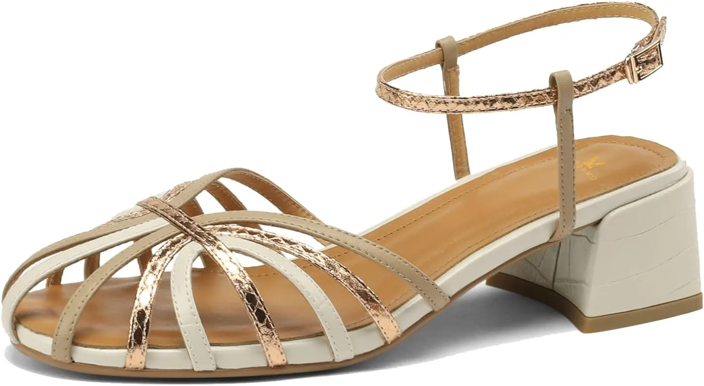 MOOMMO Women Low Heel Sandals Ankle Strap Rainbow Kitten Heel Cage Sandal Shoes T Strap Mary Jane Pumps Chunky Block Heel Cutout Sandals Bridal Wedding Summer Vintage Dressy Elegant Comfort 4-11 M US